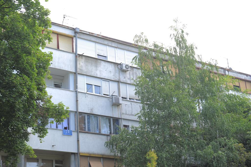Apartment Daca Stan Belgrade Exterior photo