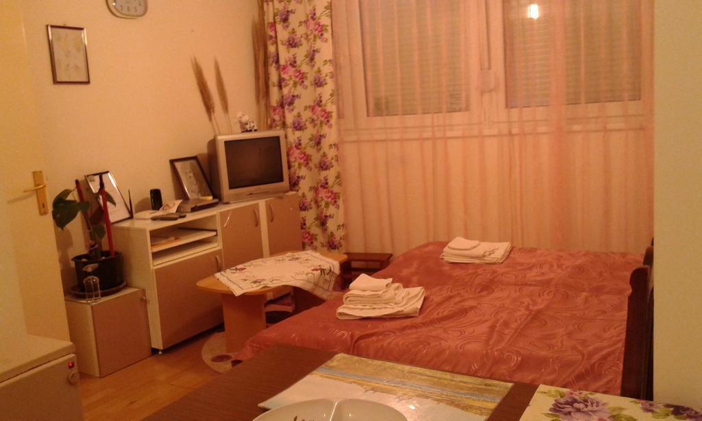 Apartment Daca Stan Belgrade Exterior photo